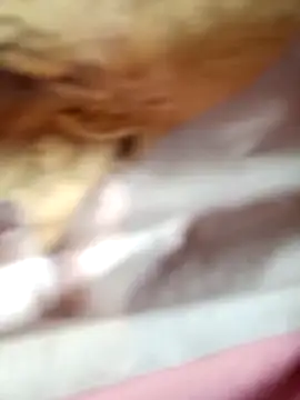 -Bianmi- online show from April 5, 2:20 am