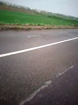 alicancetin11 online show from April 2, 8:23 am