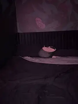 VERALONGG online show from April 3, 6:22 am