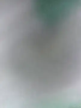 Bristy BigBoobs online show from April 11, 4:17 am