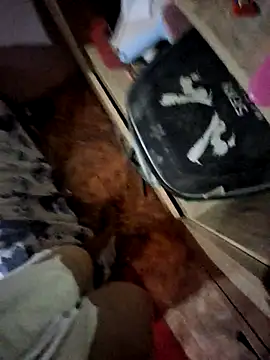 Matheus Enrique online show from April 15, 3:41 pm