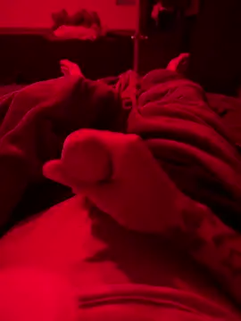 Dstat715 online show from April 19, 6:02 am