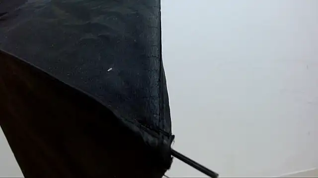 alejandrofoxnoir18 online show from April 10, 5:17 pm