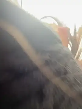 AlmaSajor  online show from April 14, 1:17 pm