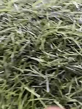 X-boy-11 online show from April 16, 8:59 am