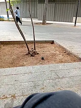 biga00 online show from April 11, 3:38 pm