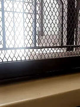 billboyhoney online show from April 8, 8:36 am