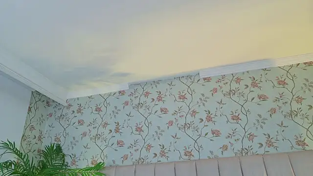 VegaSara online show from April 15, 8:20 pm