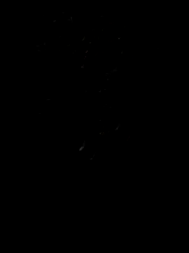 Rocky pune online show from April 8, 1:55 pm