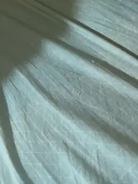 Pink-Tip-Bunny online show from April 12, 9:58 am