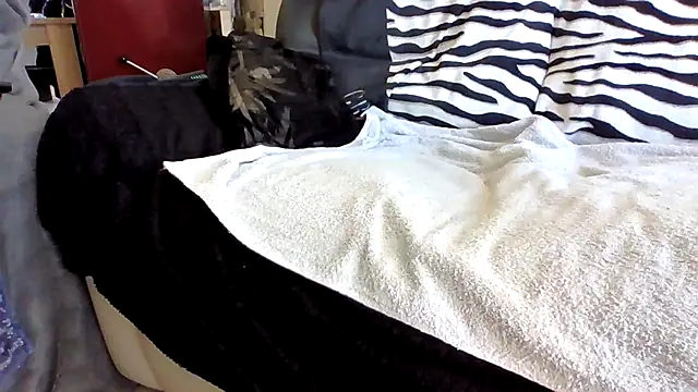 Beseb2 online show from April 17, 1:03 pm