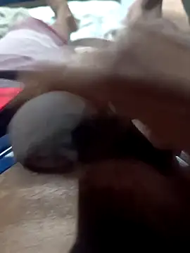 rogeriobastospqdt online show from April 16, 2:29 pm