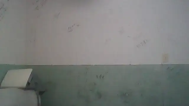 Toytroy197413 online show from April 17, 3:53 am