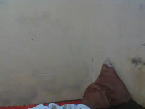 Rerpuss1 online show from April 12, 8:25 pm