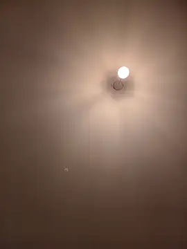 Dietosca online show from April 13, 2:28 am