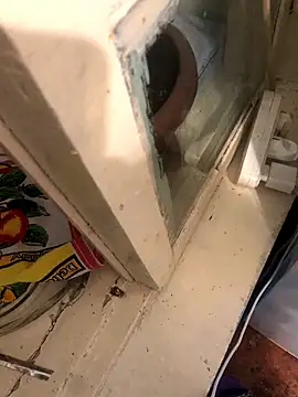 katilikat online show from April 17, 11:41 pm