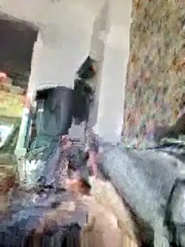 bellequeue147 online show from April 21, 10:54 am