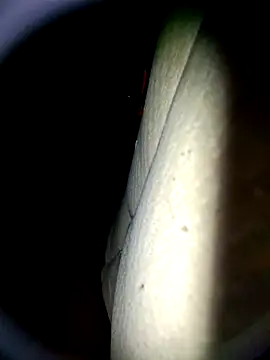 Harkorti online show from April 22, 4:48 am