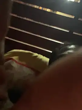 kasperskyy online show from April 23, 10:58 am