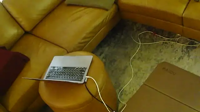 gaydandyboy online show from July 27, 11:01 pm