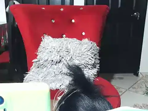 jannyheat online show from January 17, 4:57 pm