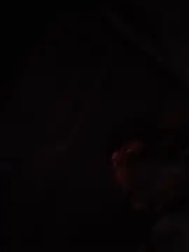 HottPussy069 online show from May 14, 1:01 am