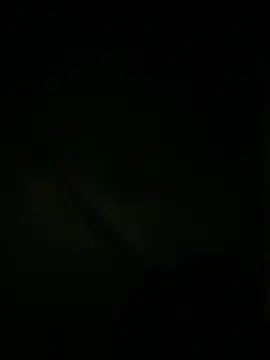 Snapshot of slutytransgal chatting on May 6, 2:08 am slutytransgal online show from May 6, 2:08 am