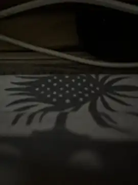 st boyss online show from July 9, 6:56 pm