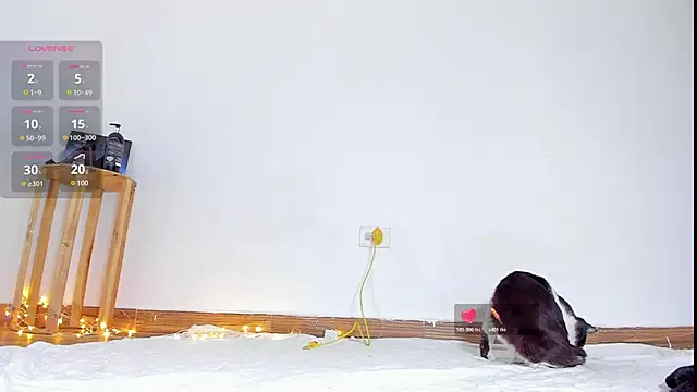 Snapshot of abilX chatting on January 24, 1:57 pm abilX online show from January 24, 1:57 pm