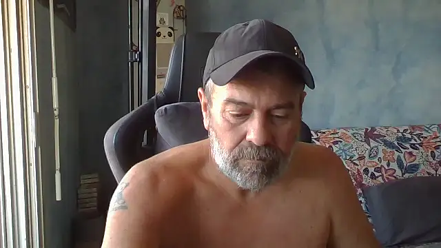 panda 06200 online show from July 11, 6:49 am