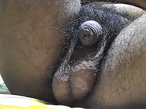 indiboy009 online show from September 17, 6:31 pm