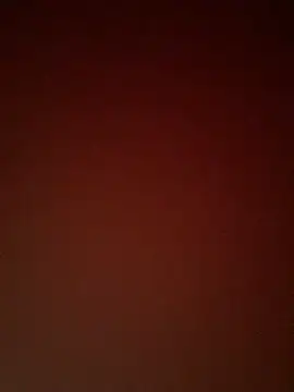 ELY FE  online show from July 17, 1:29 pm