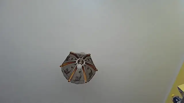 Butterfly PL online show from July 9, 8:07 am
