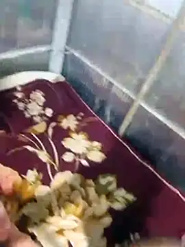 Deshi sexy online show from July 10, 8:44 pm