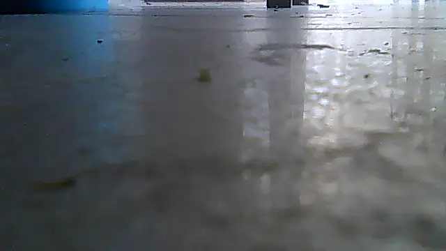Snapshot of SirFrankonde chatting on August 2, 12:58 pm SirFrankonde online show from August 2, 12:58 pm