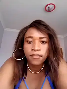 ChocStallion online show from July 1, 1:56 pm