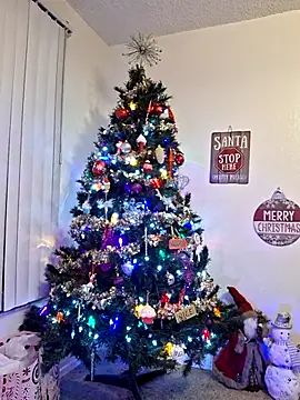 Snapshot of XxMs_StarzxX chatting on December 21, 11:45 pm XxMs StarzxX online show from December 21, 11:45 pm