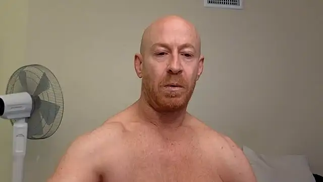 brotein369 online show from February 17, 8:37 pm