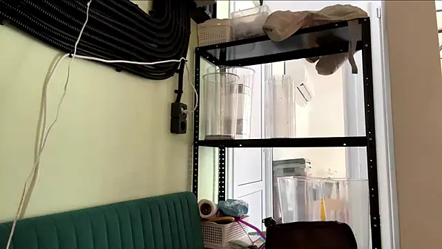 GingerEtsitty online show from July 24, 8:01 am