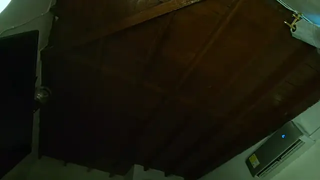 Snapshot of IvyValentine chatting on March 14, 9:54 pm IvyValentine online show from March 14, 9:54 pm