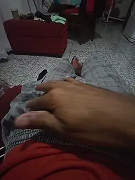 foguinho25cm online show from August 5, 8:17 am