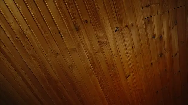 Snapshot of coraline_latin chatting on September 25, 7:39 pm coraline latin online show from September 25, 7:39 pm