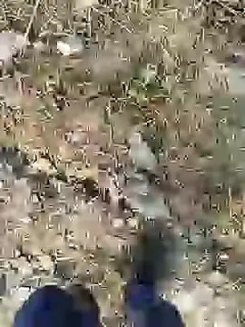 Snapshot of ThethunderPo chatting on December 28, 2:43 am ThethunderPo online show from December 28, 2:43 am