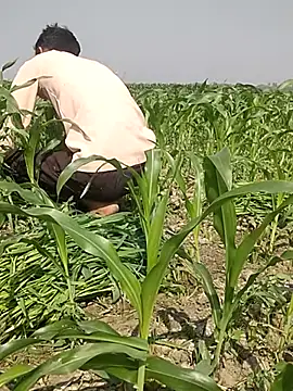 Snapshot of ThethunderPo chatting on March 3, 4:25 am ThethunderPo online show from March 3, 4:25 am