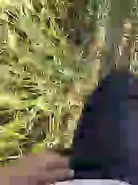 Snapshot of ThethunderPo chatting on March 18, 2:36 am ThethunderPo online show from March 18, 2:36 am