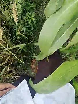 Snapshot of ThethunderPo chatting on March 21, 2:50 am ThethunderPo online show from March 21, 2:50 am