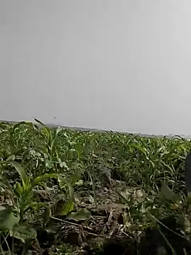 ThethunderPo online show from February 5, 5:45 am