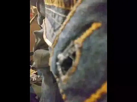 Snapshot of ROBERT0516 chatting on October 19, 5:02 pm ROBERT0516 online show from October 19, 5:02 pm