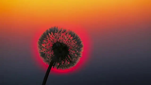 Snapshot of Sunning2 chatting on September 10, 8:36 am Sunning2 online show from September 10, 8:36 am