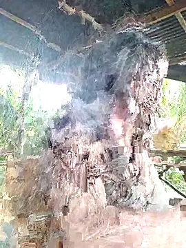 loveuu-bae online show from October 23, 9:35 pm